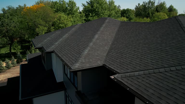 Best Asphalt Shingle Roofing  in Leadville North, CO