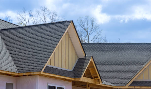 Best Asphalt Shingles Roofing  in Leadville North, CO