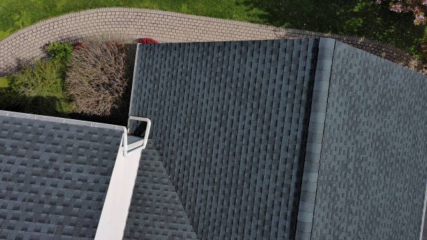 Best Roof Ventilation Installation  in Leadville North, CO