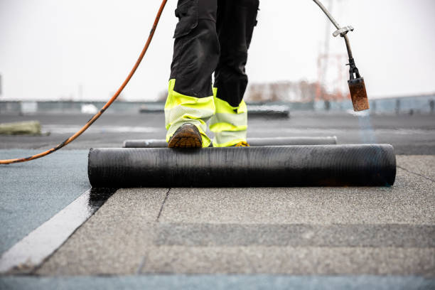 Best Rubber Roofing (EPDM, TPO)  in Leadville North, CO